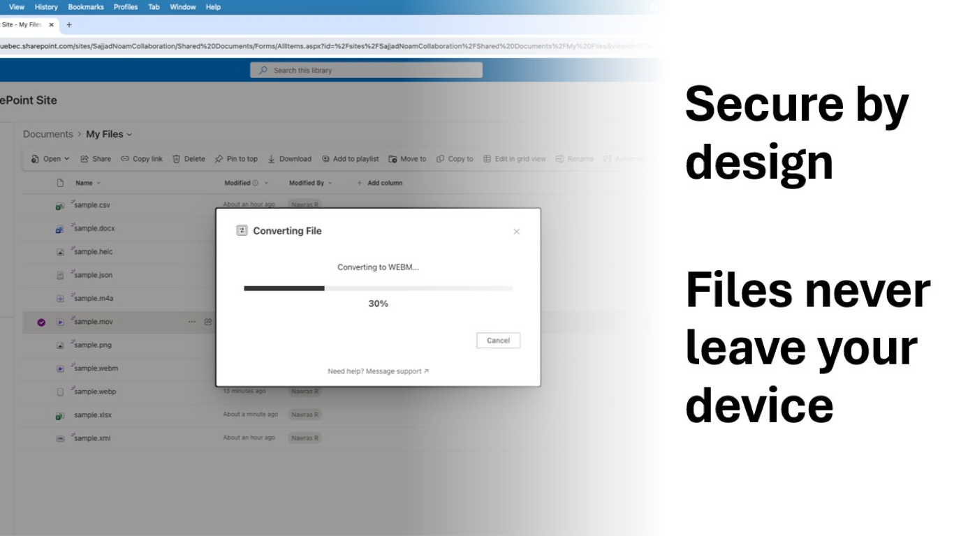 File Converter for SharePoint previewing source and output formats before conversion